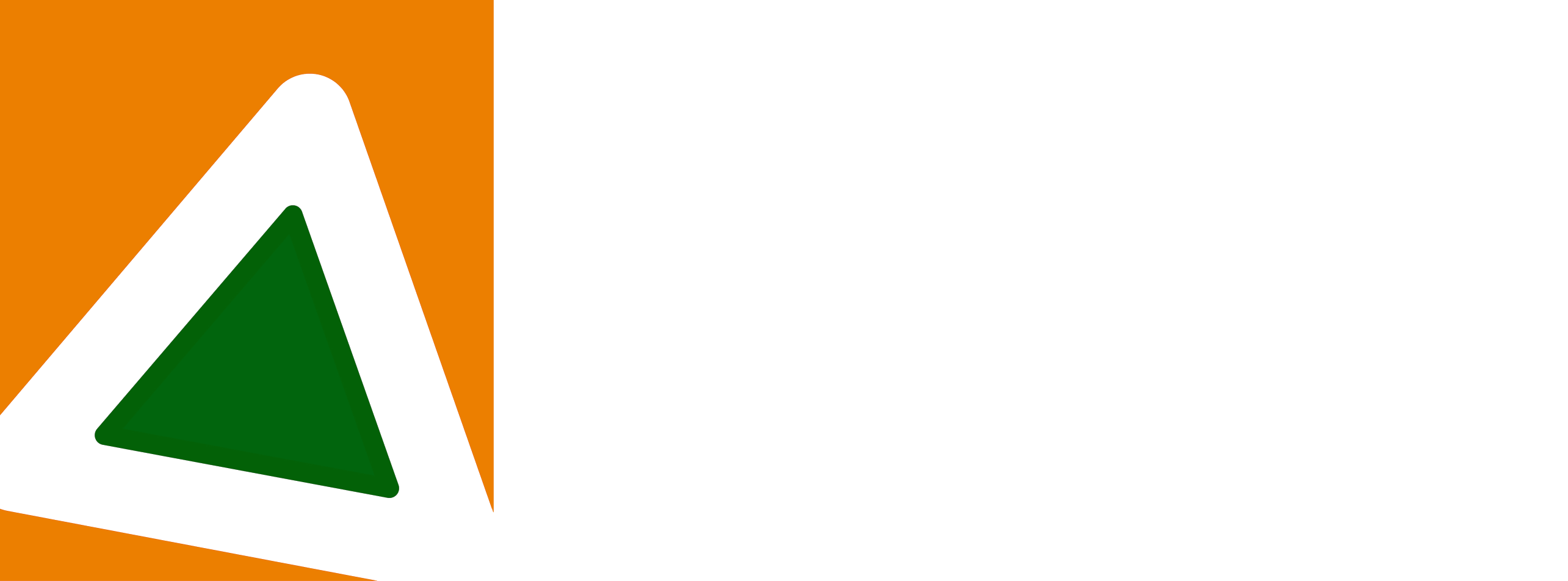Tecnica - Formazione - Sicurezza s.r.l.